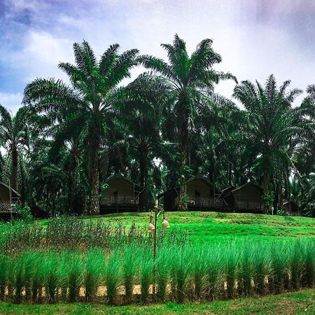 Khaosok Boutique Hideaway Hotel Phanom Exterior foto